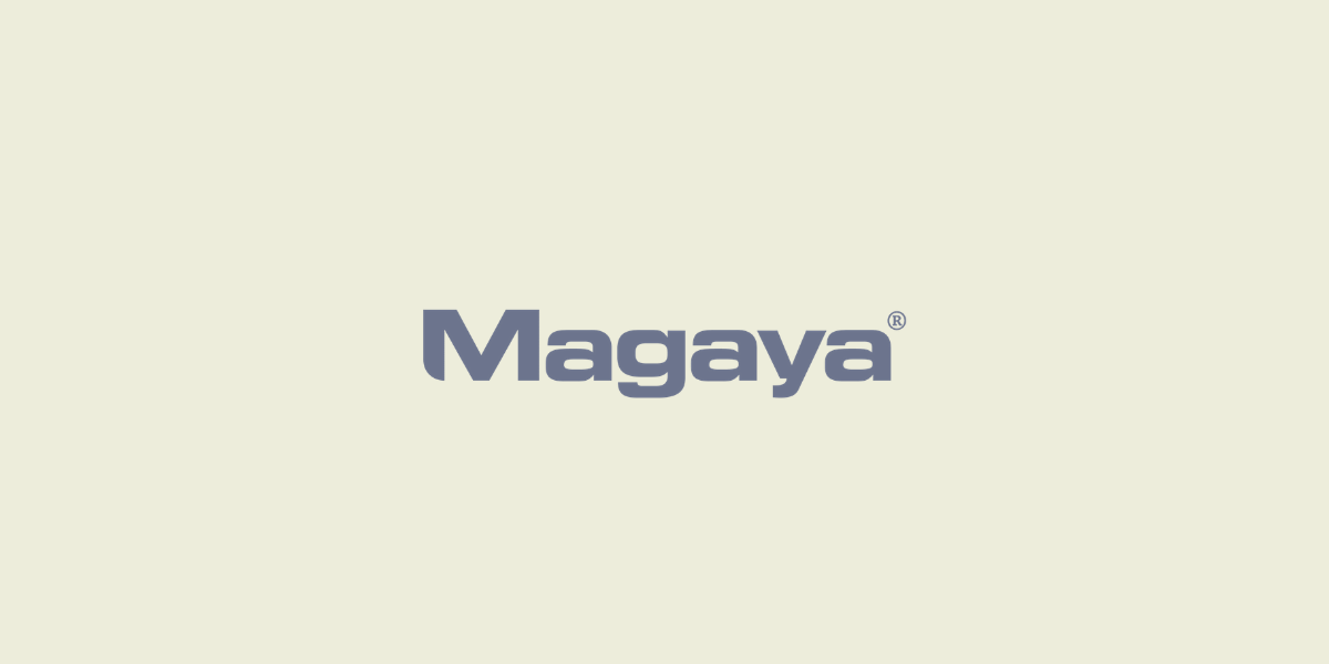 FSS - Magaya - Logisoft